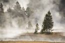 RISING MIST